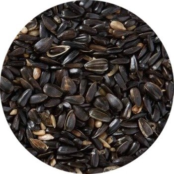 Sunflower Black Seeds
